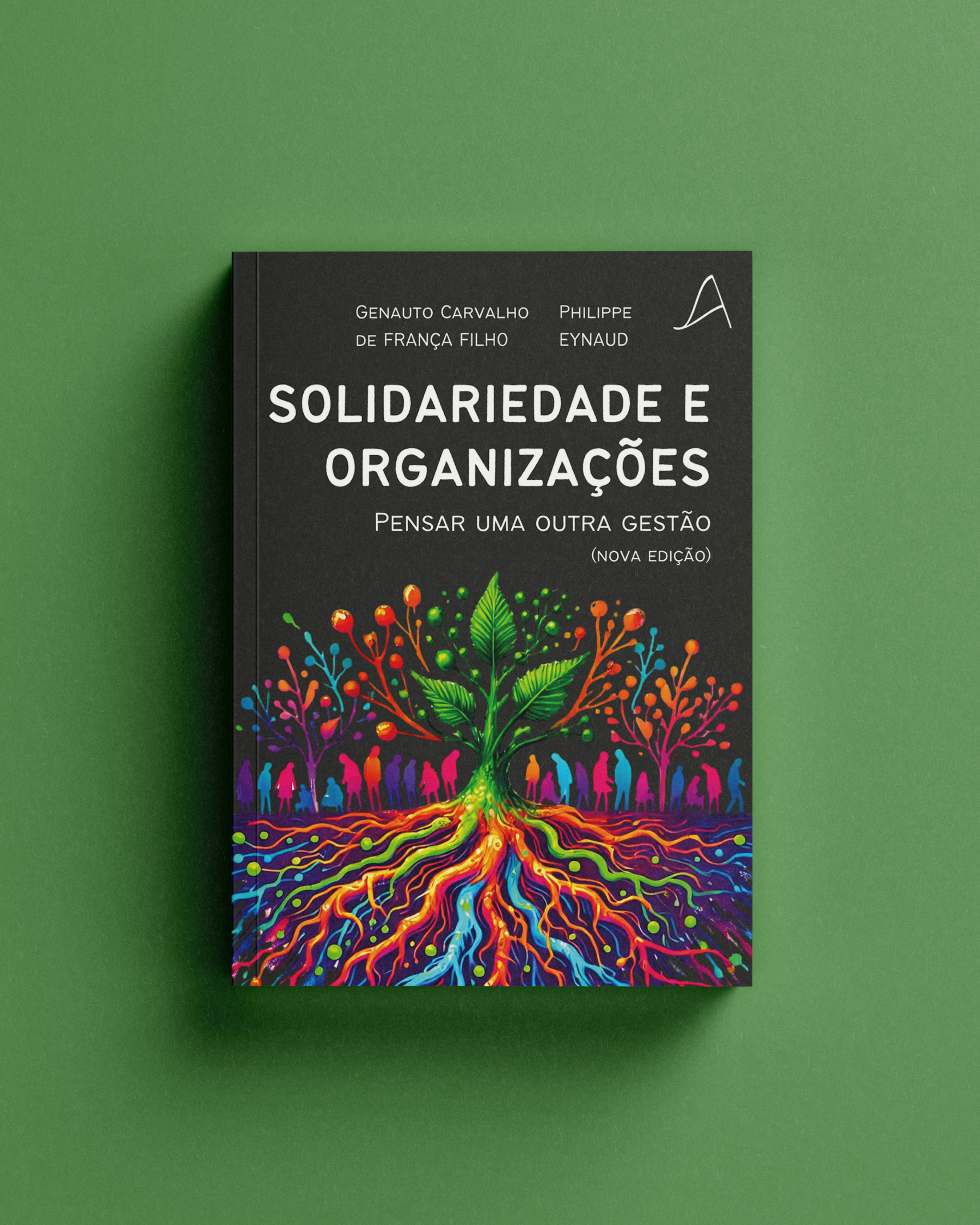 Solidariedade e organizações: pensar uma outra gestão (nova edição